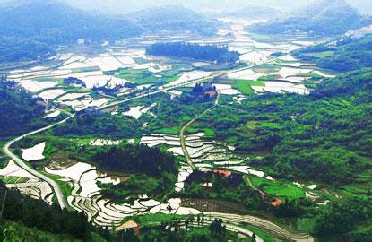 鹤城天气预报10天查询