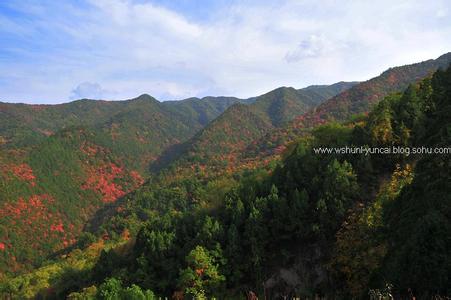 宜川天气预报10天查询