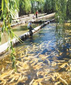 甘州天气预报30天查询,甘州区一个月天气