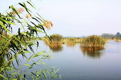 宿州泗县天气预报_泗县天气预报一周7天10天15天宿州泗县天气预报,泗县天气预报一周7天10天15天